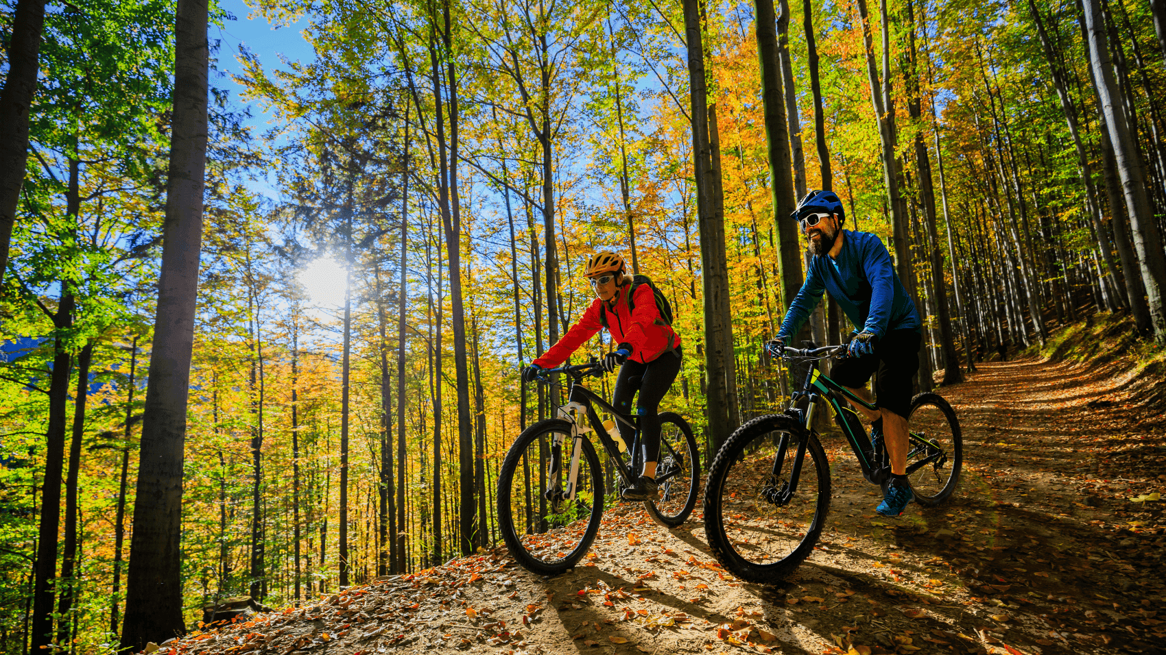 Couple cycling surrounded by trees