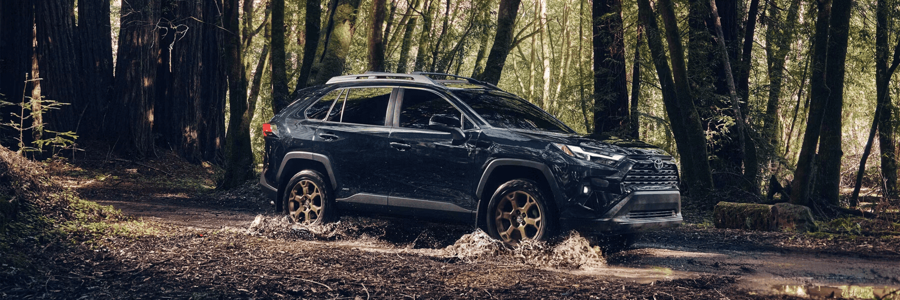 2025 Toyota RAV4 Hybrid Hero - Balise Toyota of Warwick