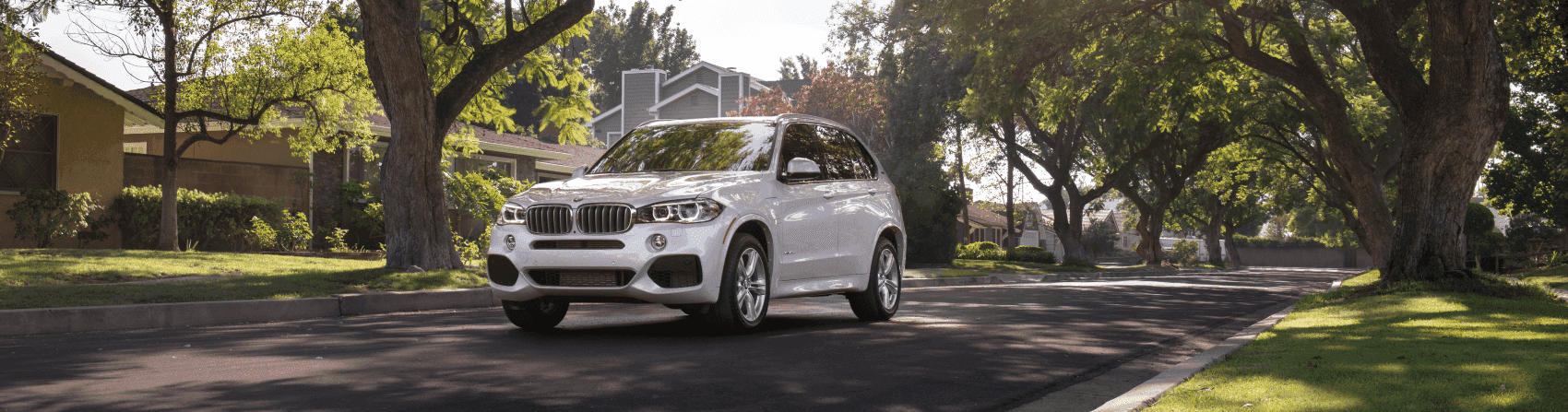Used BMW X5 White
