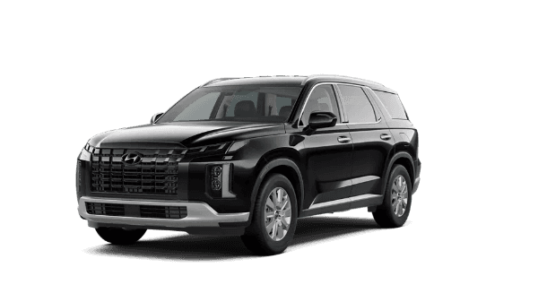 2023 Hyundai Palisade SEL models in Waukesha, WI
