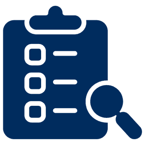 inspection icon
