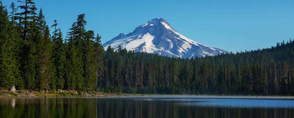 Best Hikes Near Hillsboro, Oregon | Dick's Hillsboro Honda