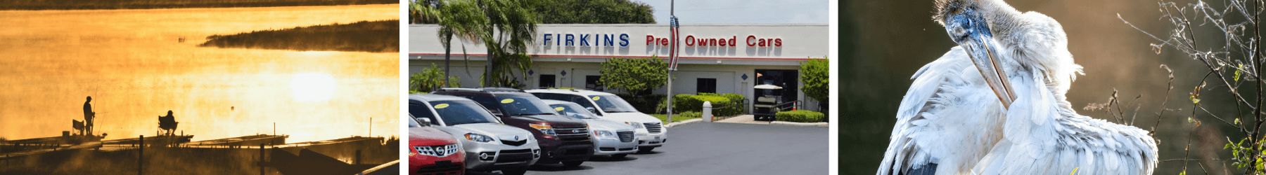 Car Dealership in West Bradenton, FL