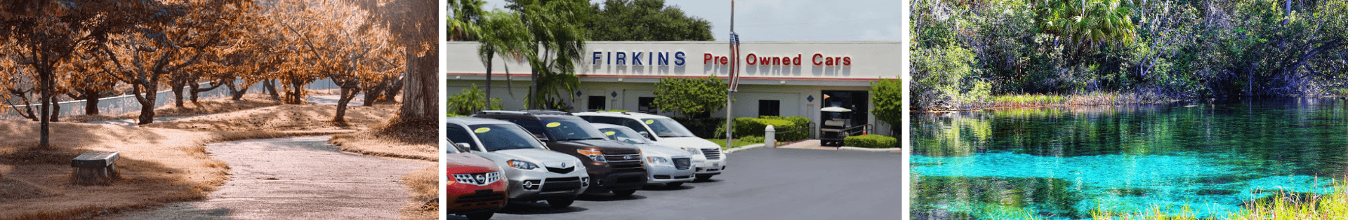 Car Dealership in Wauchula, FL