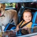 Toddler and dog traveling in the second seat of the car together.