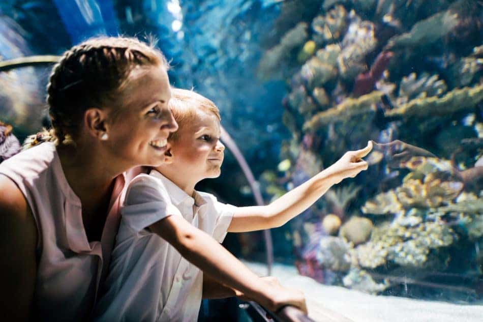 Mother and son watching sea life in oceanarium