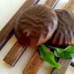 Horizontal image of the two chocolate glazed zephyrs marshmallow on the wooden board. Sweet unhealthy food, delicious yummy dessert from milk, eggs covered with brown chocolate glaze with green leaves. Tasty candy sweets.