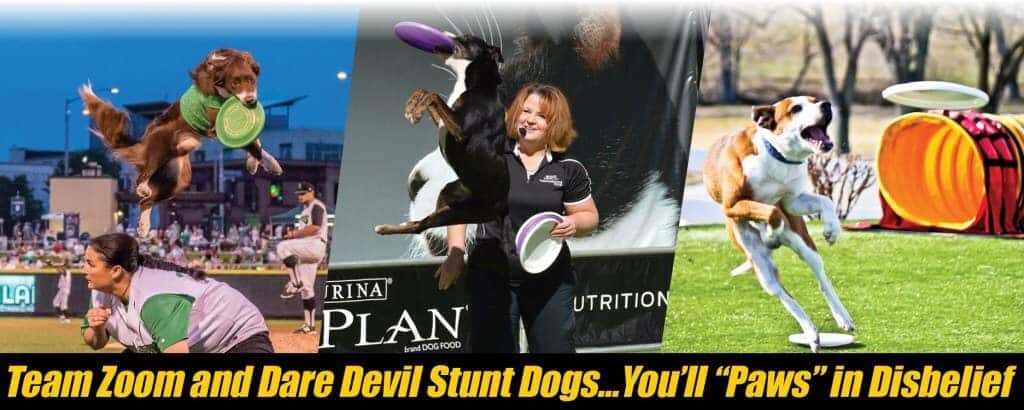 Bradenton Area River Regatta -Team Zoom & Dare Devil Stunt Dogs - Firkins Chrysler Jeep Dodge RAM