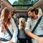 Family with dog in the car