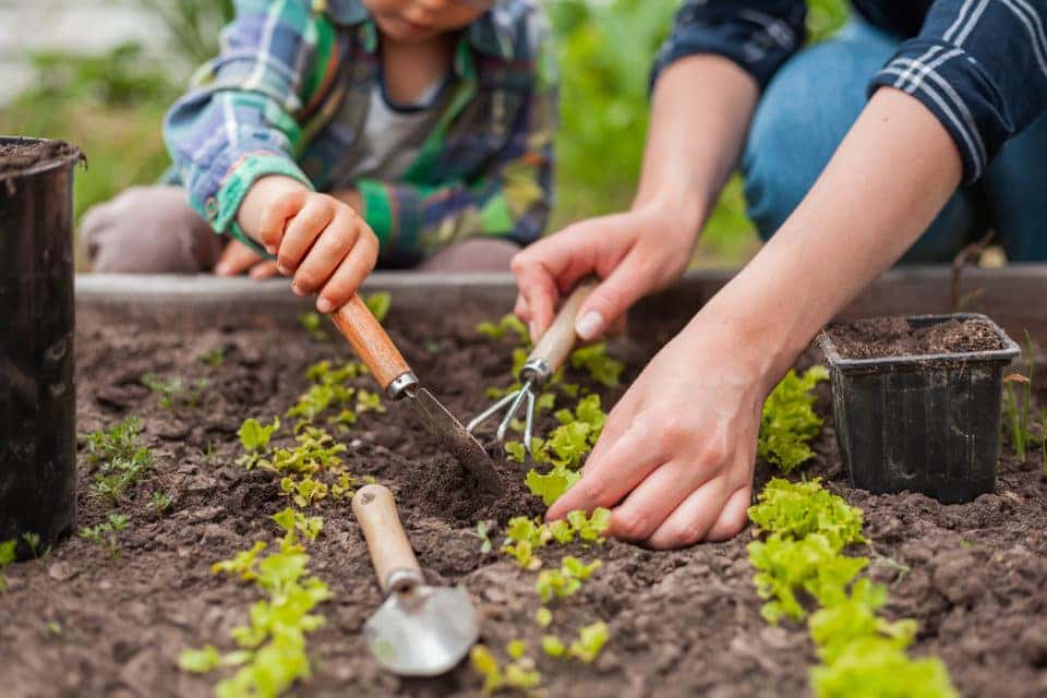 Child and mother gardening