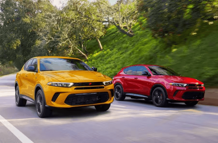 2 dodge hornets driving on the street