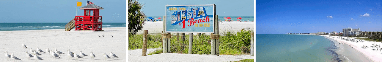 Car Service near Siesta Key, FL