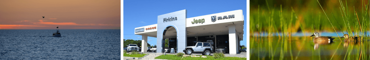 Car Dealership serving Ballast Point, FL