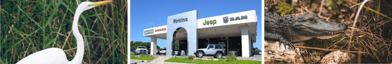Car Dealership serving Land O' Lakes, FL