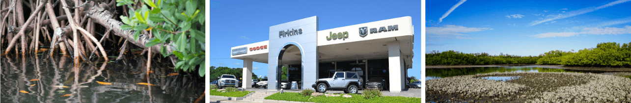 Car Dealership serving Oldsmar, FL