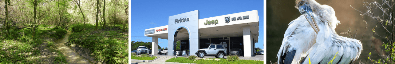 Car Service near Valrico, FL