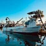 Bradenton, FL Attractions