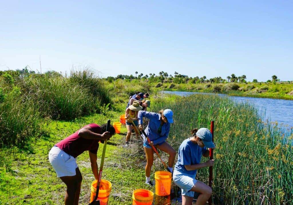 Unique things to do around Bradenton, FL
