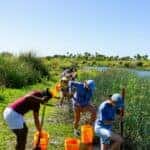 Unique things to do around Bradenton, FL