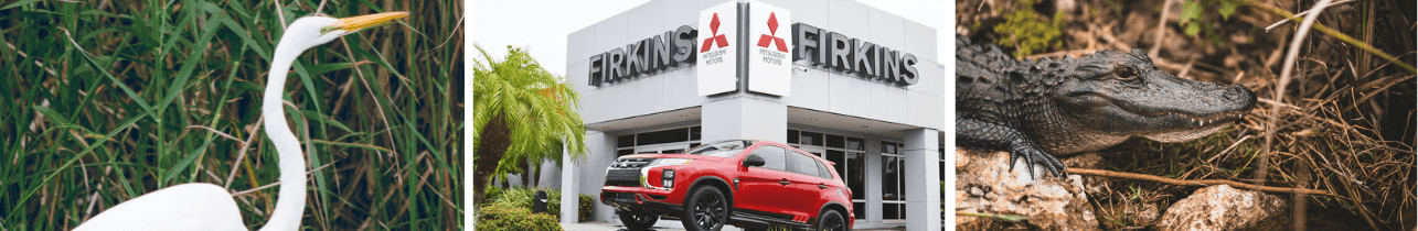 Mitsubishi Dealership near Land O' Lakes, FL
