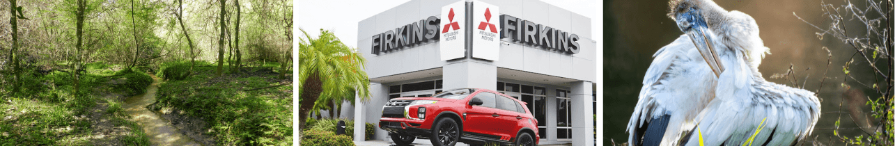 Mitsubishi Dealership in Valrico, FL