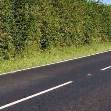 Pleasant-Road-Background