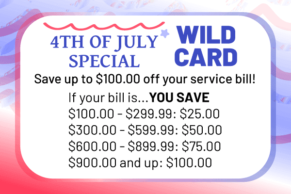 Wild Card Special