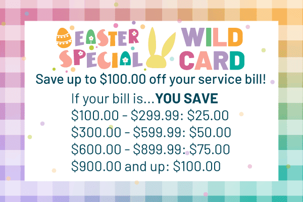 Wild Card Special