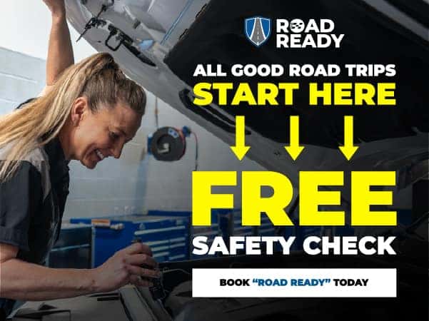 FREE Safety Check