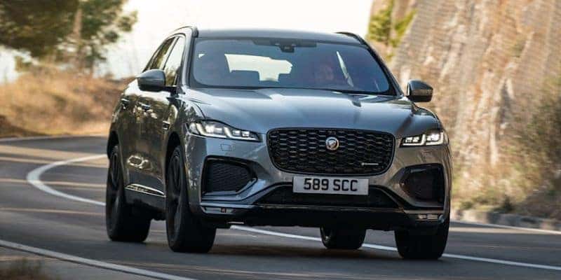 Jaguar Finance Team