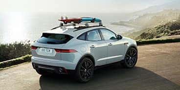 Jaguar-E-Peace-Back