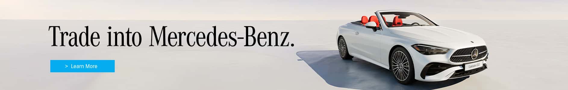 2838822_MBHV_Luxury—Evergreen-_-Trade_WB
