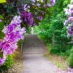 South Texas Botanical Gardens