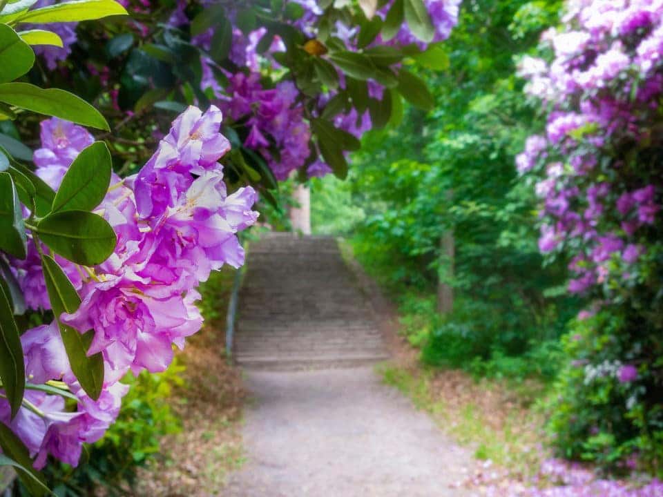 Flora Fauna And Fun The South Texas Botanical Gardens Mike