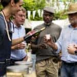 Wine Festival