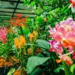 South Texas Botanical Gardens & Nature Center
