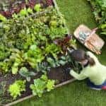 Garden Show