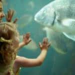 Mom and little girl enjoying a day at the aquarium