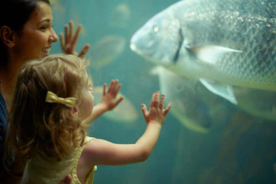 Mom and little girl enjoying a day at the aquarium
