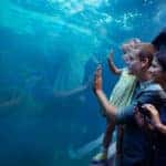 young family enjoying a day at the aquarium