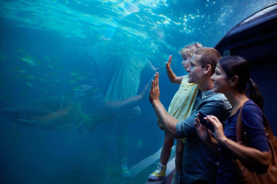 young family enjoying a day at the aquarium