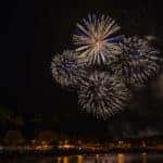 Fireworks in the night sky