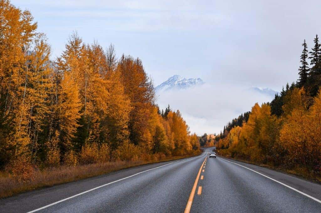 Fall Driving Autumn PEXELS