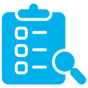 inspection icon