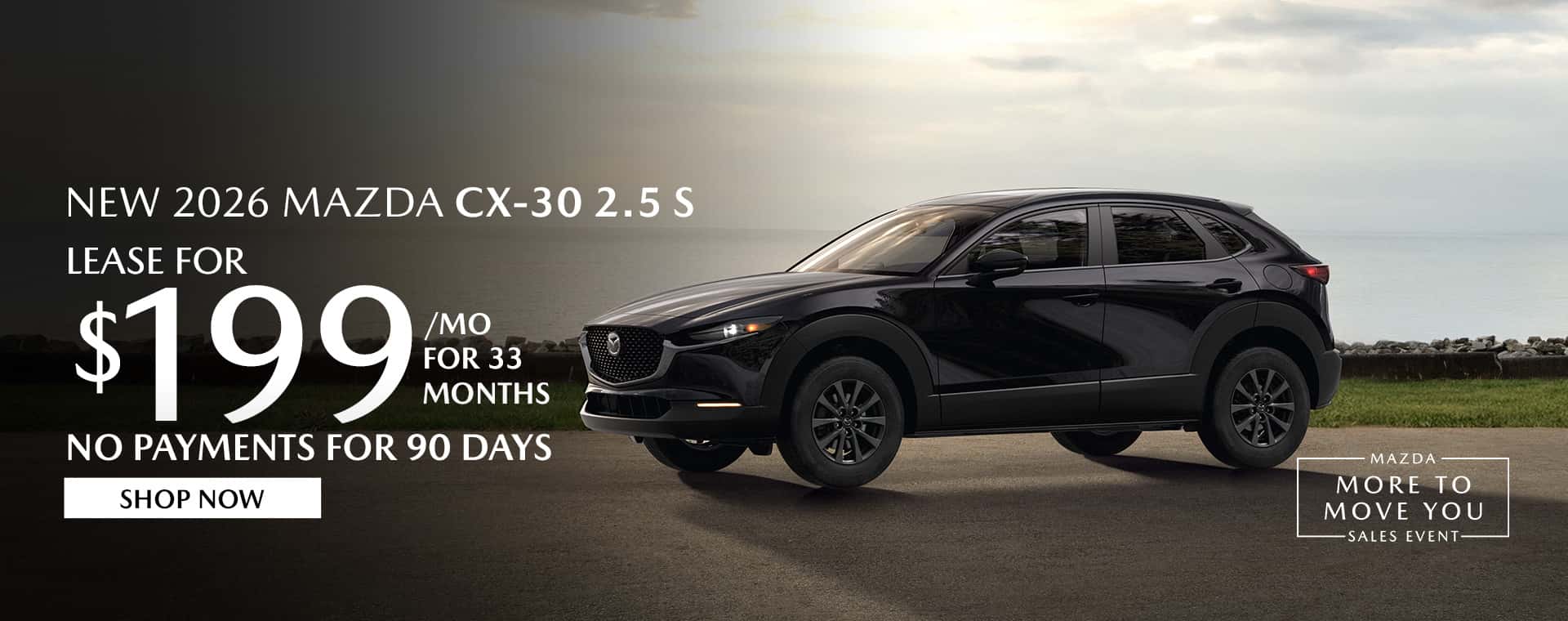 CX 30