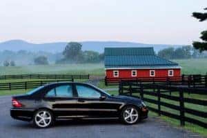 used car dealer