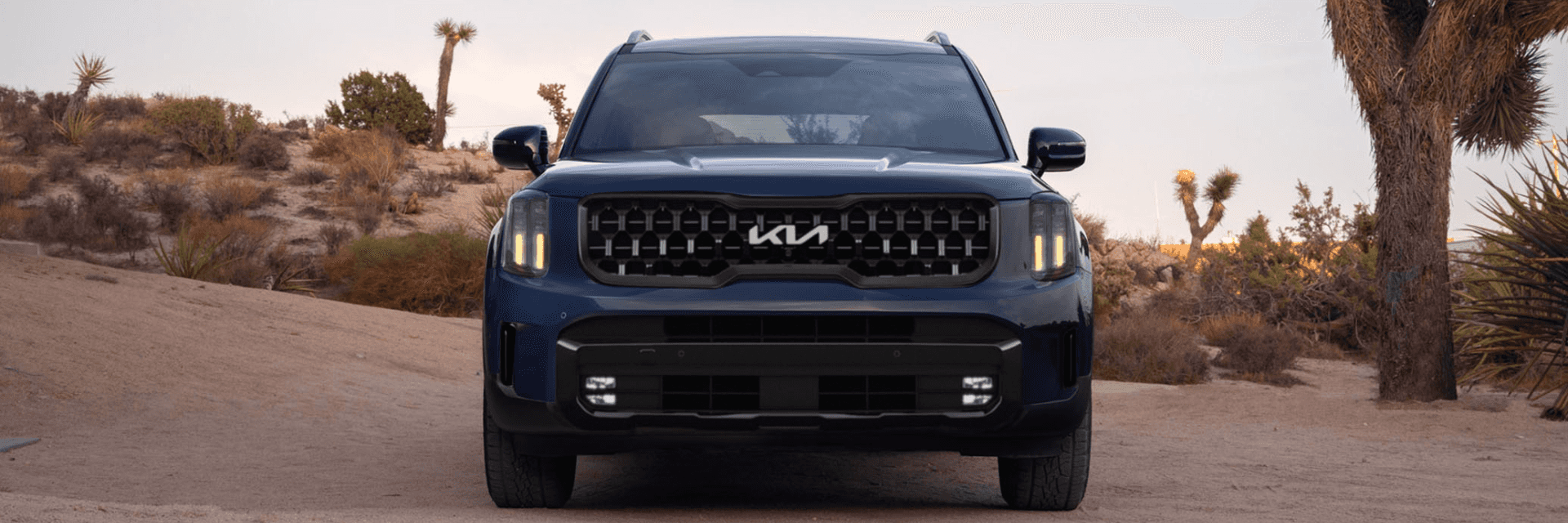 Telluride vs Hyundai Palisade