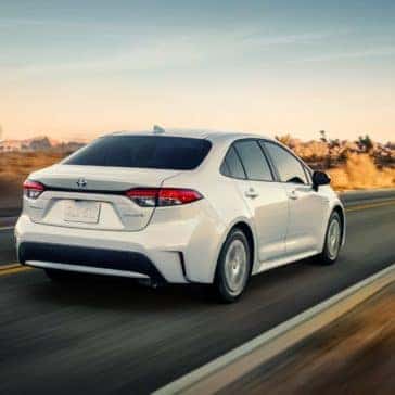 Toyota_Corolla_Driving_Country_Road