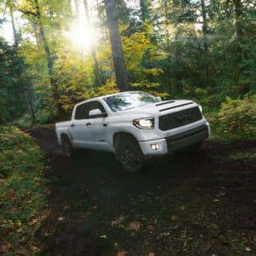 Toyota_Tundra_Driving_In_The_Woods