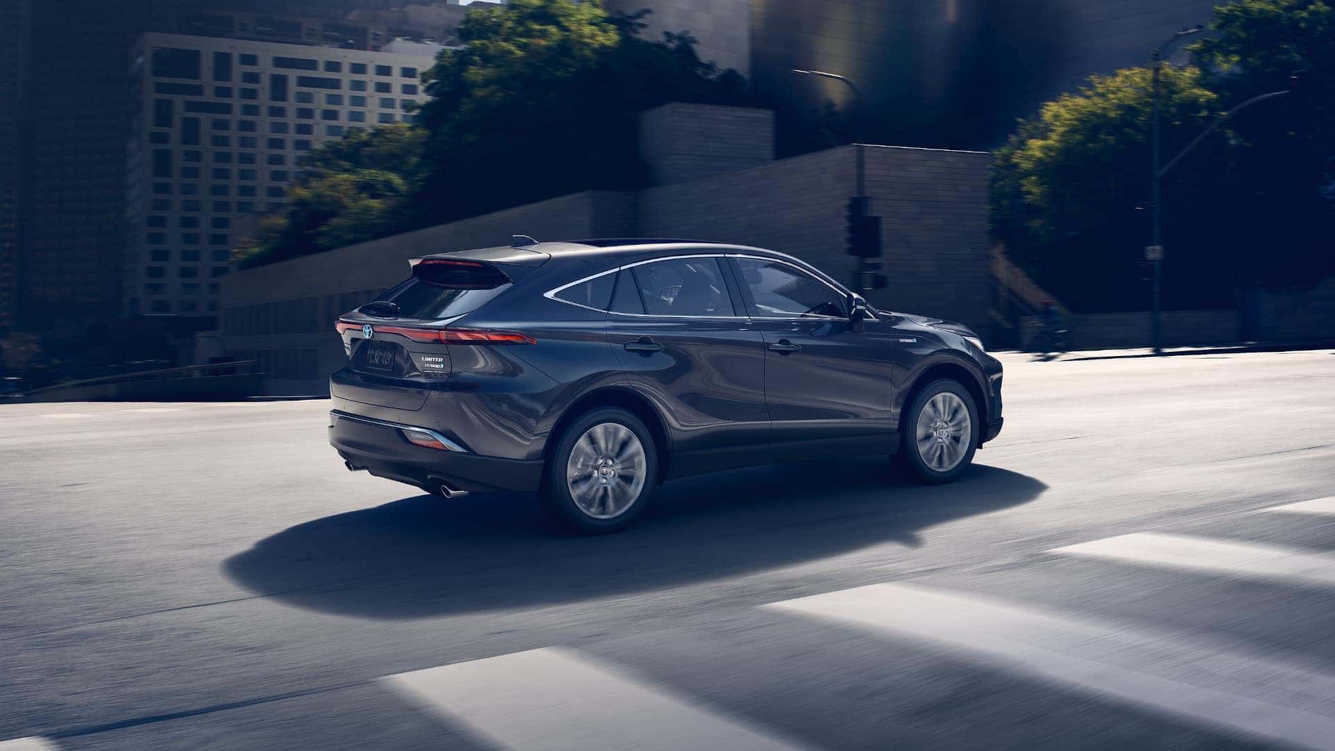 Venza Exterior Rear
